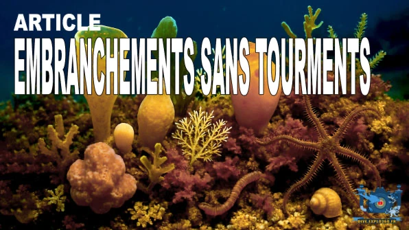 Embranchements sans tourments
