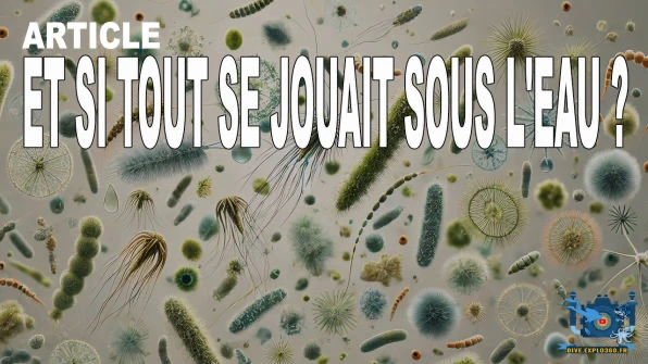 Et si tout se jouait sous l’eau ?
