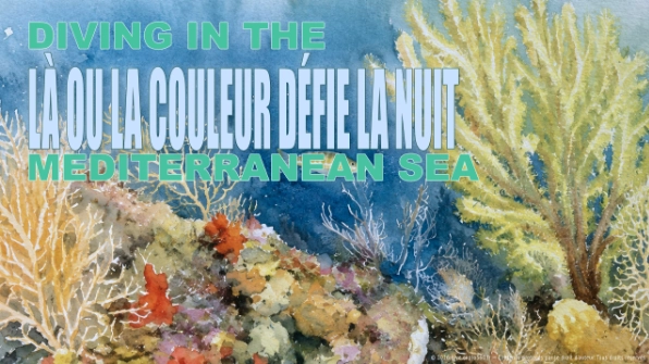 Là ou la couleur défie la nuit