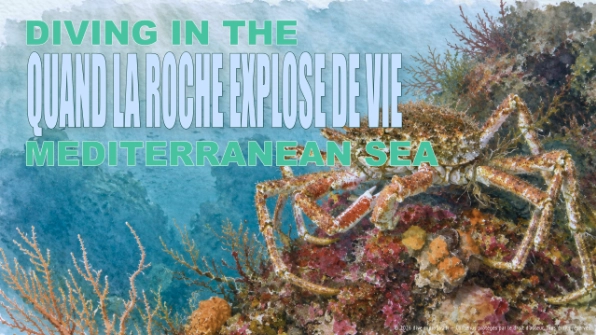 Quand la roche explose de vie