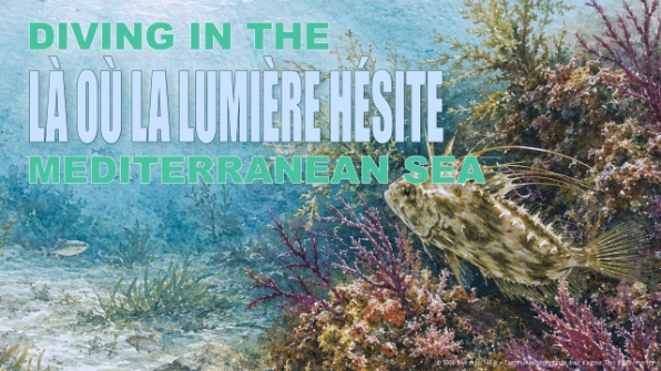Là où la lumière hésite