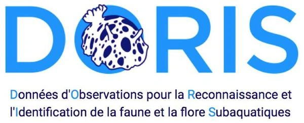 DORIS — FFESSM
