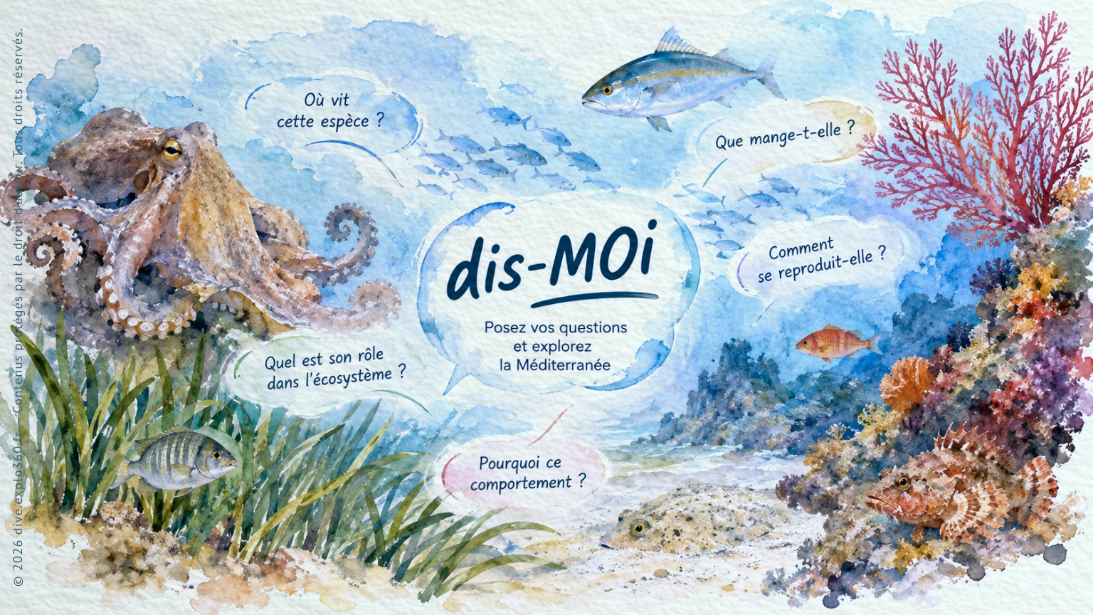 Explore Mediterranean marine biodiversity with dis-MOI