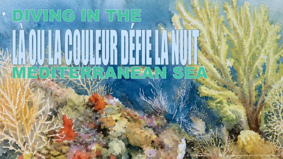 LÀ OU LA COULEUR DÉFIE LA NUIT