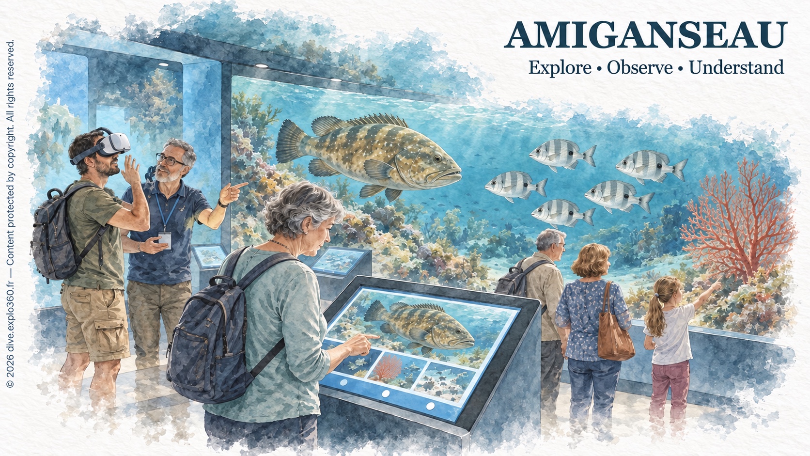 Discovering marine life with AMIGANSEAU tools