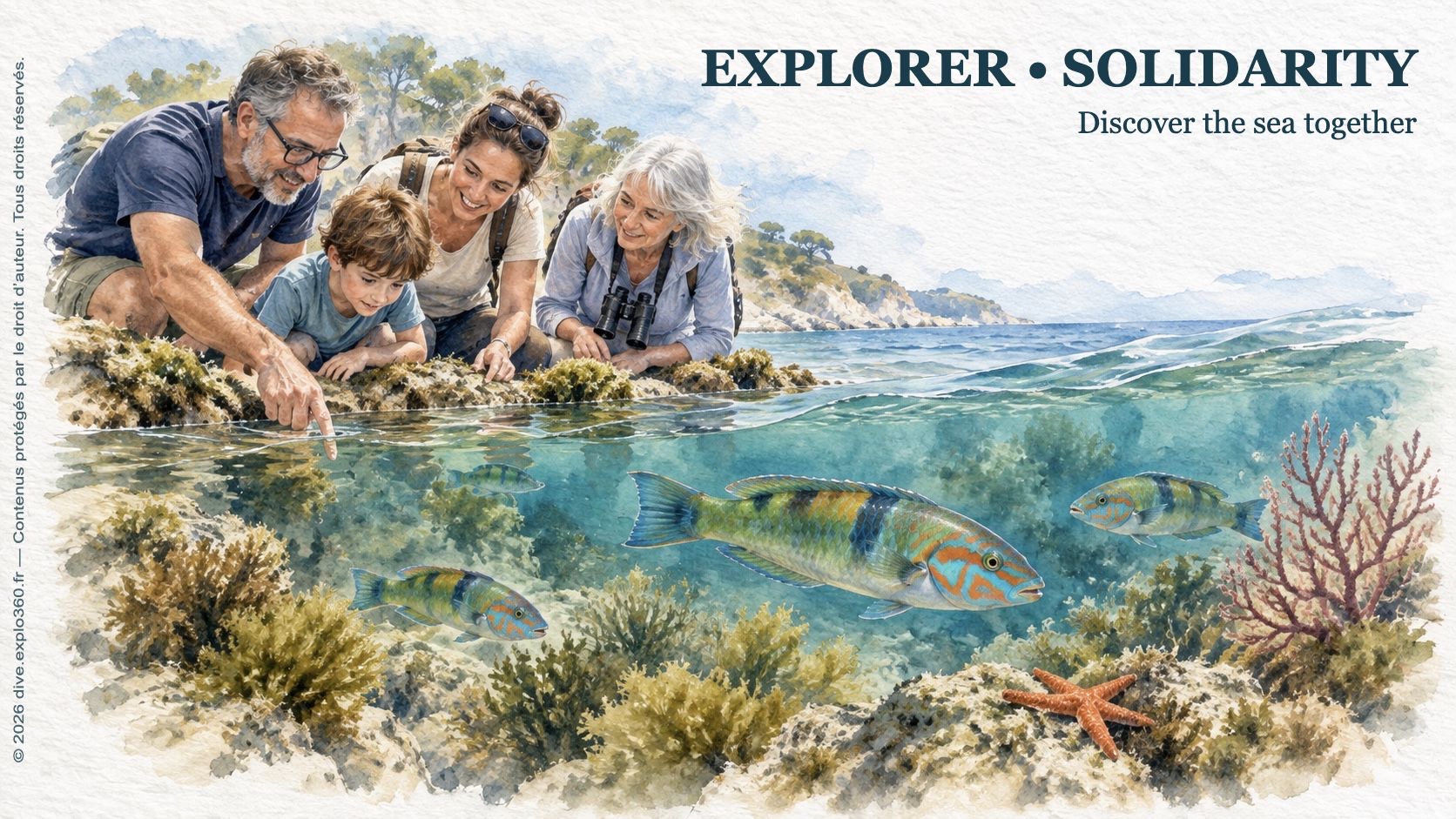 Discovering marine life together at a non-profit organisation