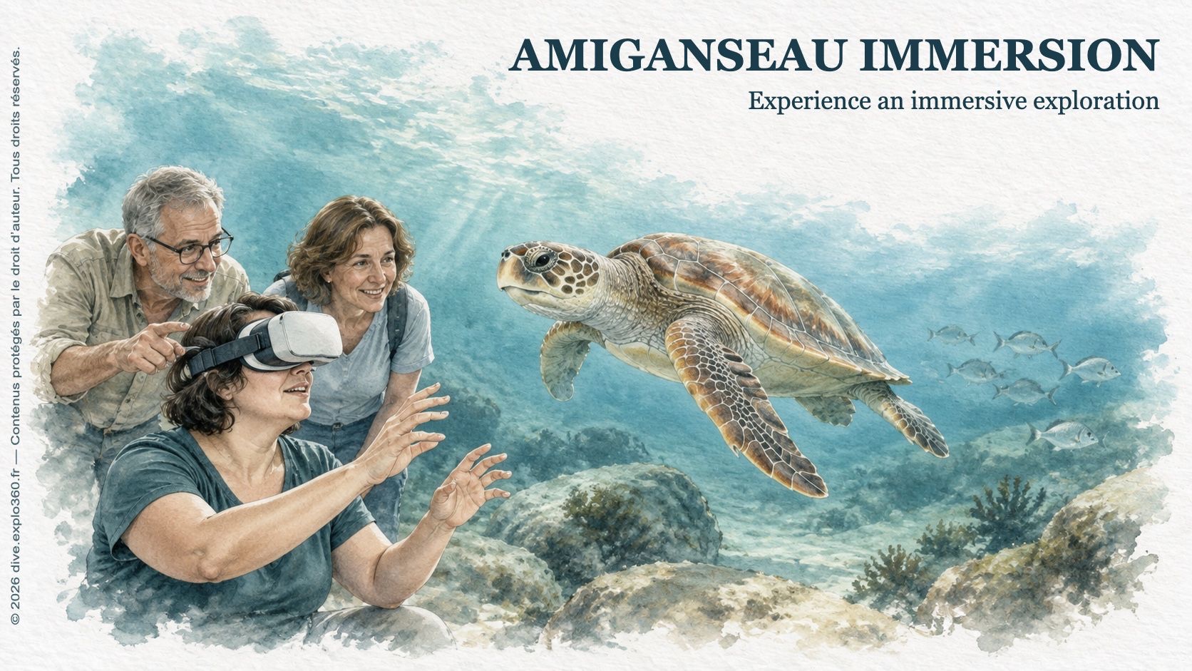Guided immersive exploration of marine life