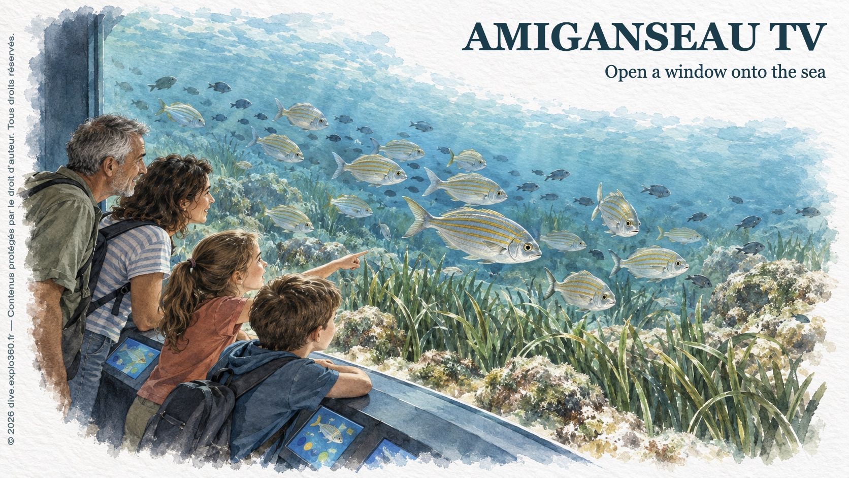 Several generations viewing a digital window onto the sea