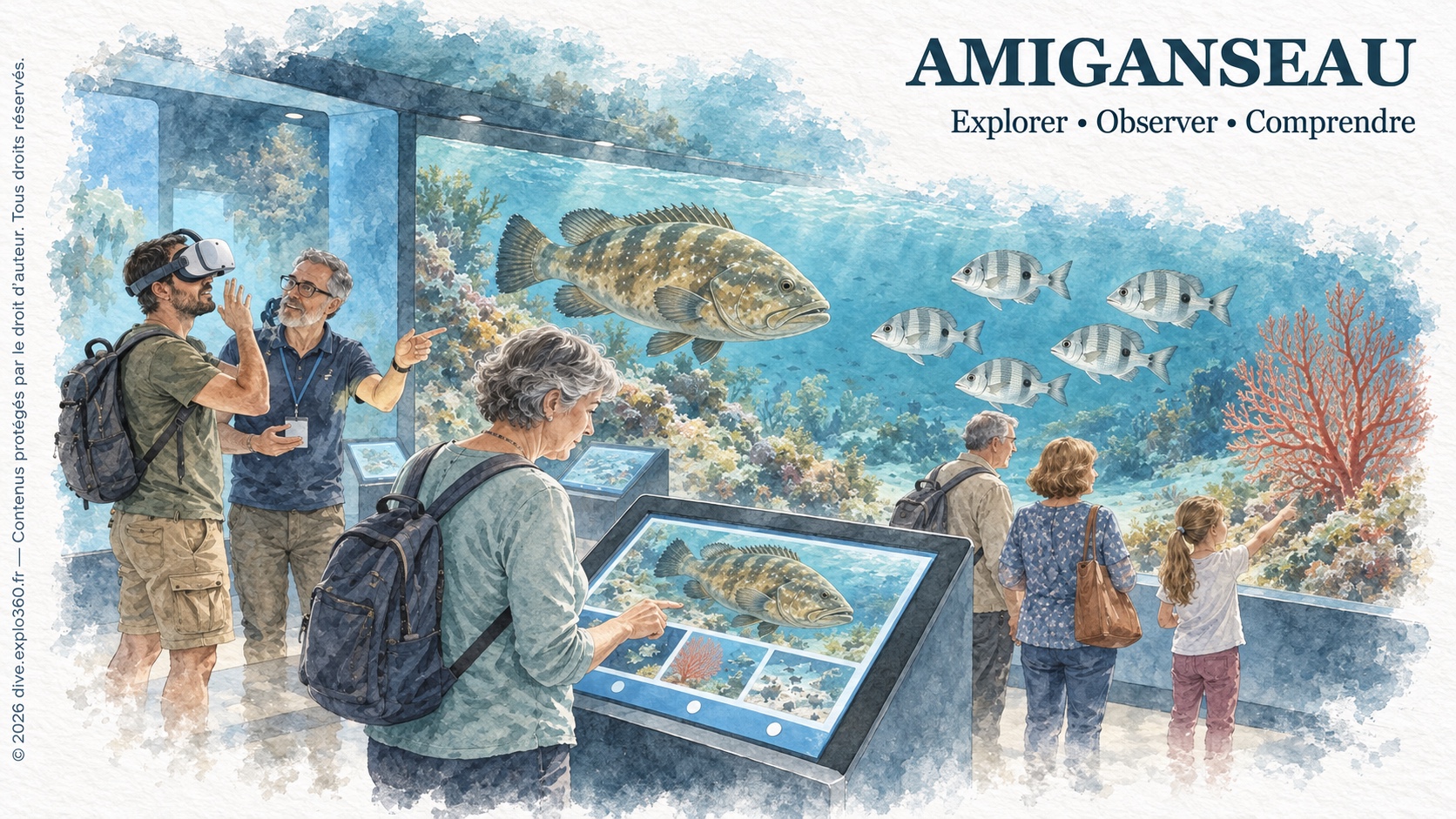 Découverte de la vie marine avec les outils AMIGANSEAU