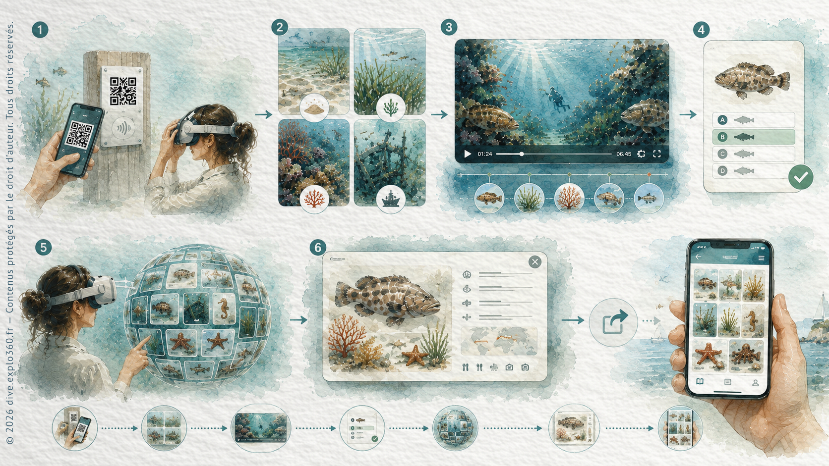Parcours AMIGANSEAU IMMERSION