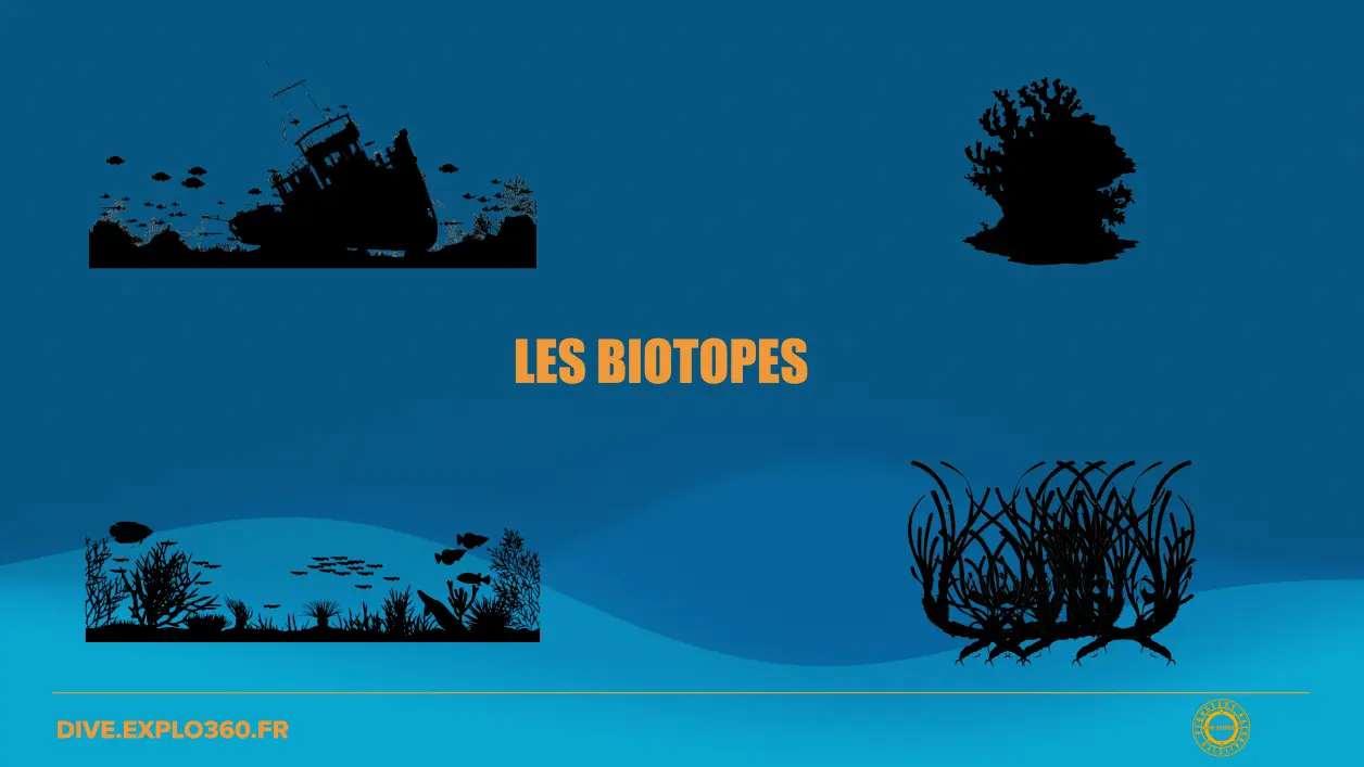 biotopes