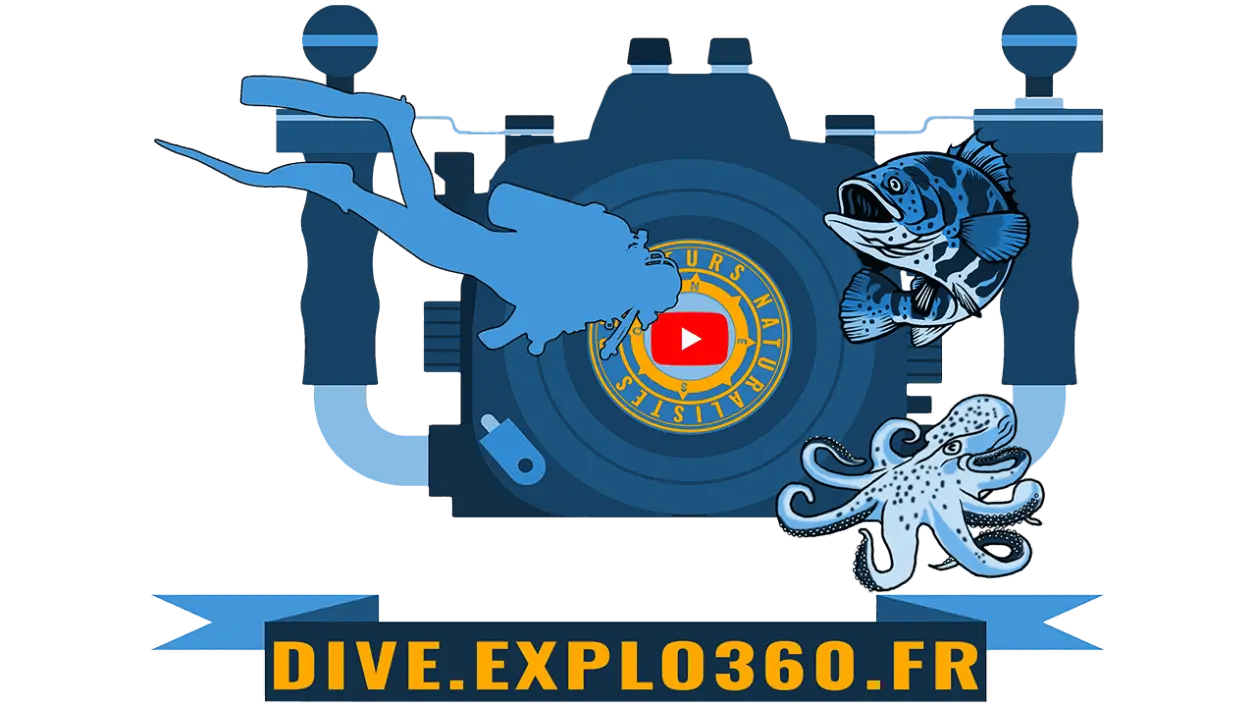 dive.explo360.fr