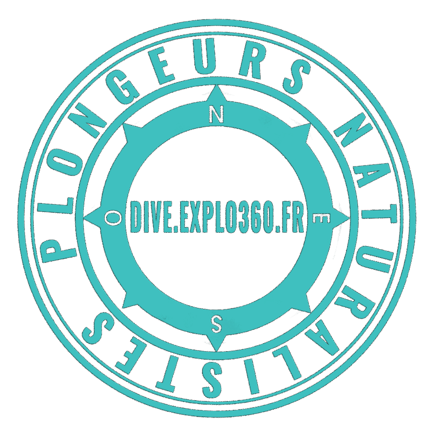 Plongeurs naturalistes — DIVE.EXPLO360.FR