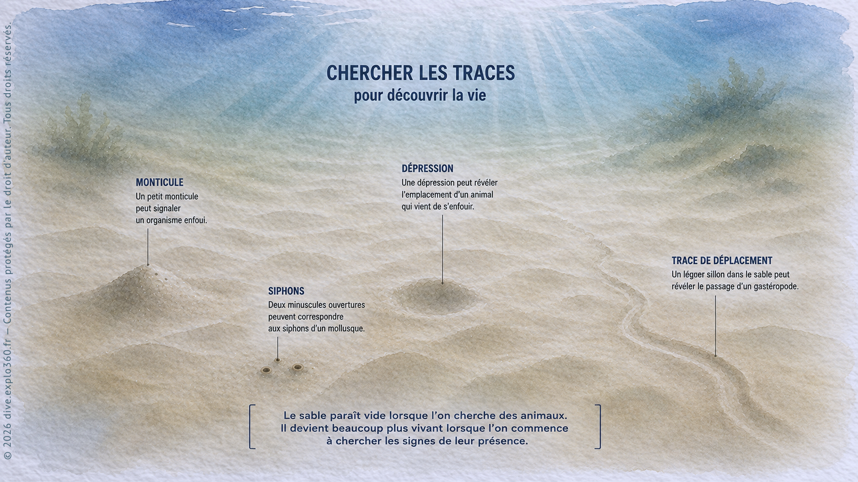 chercherLesTraces
