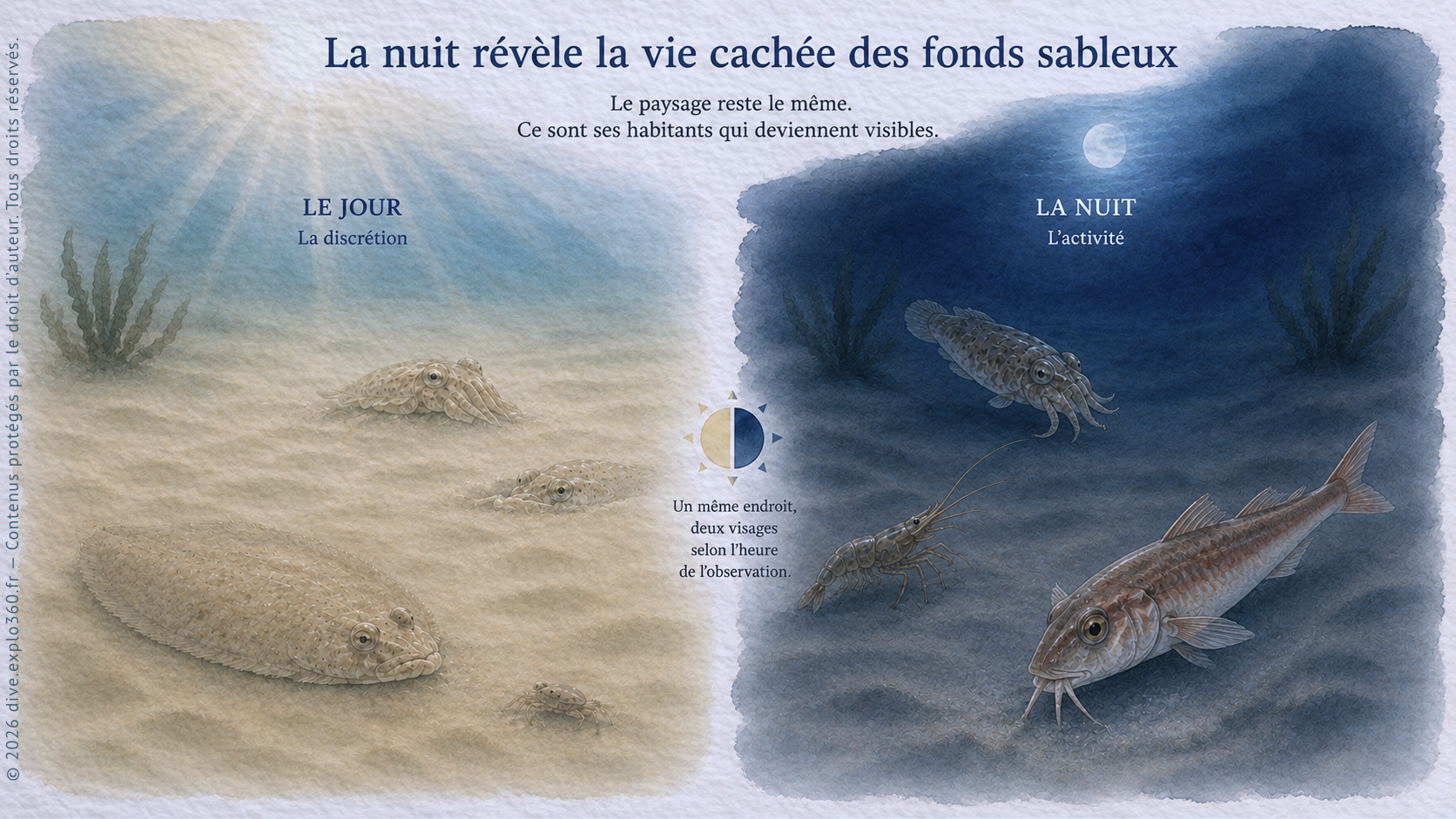 laNuitReveleLaVie