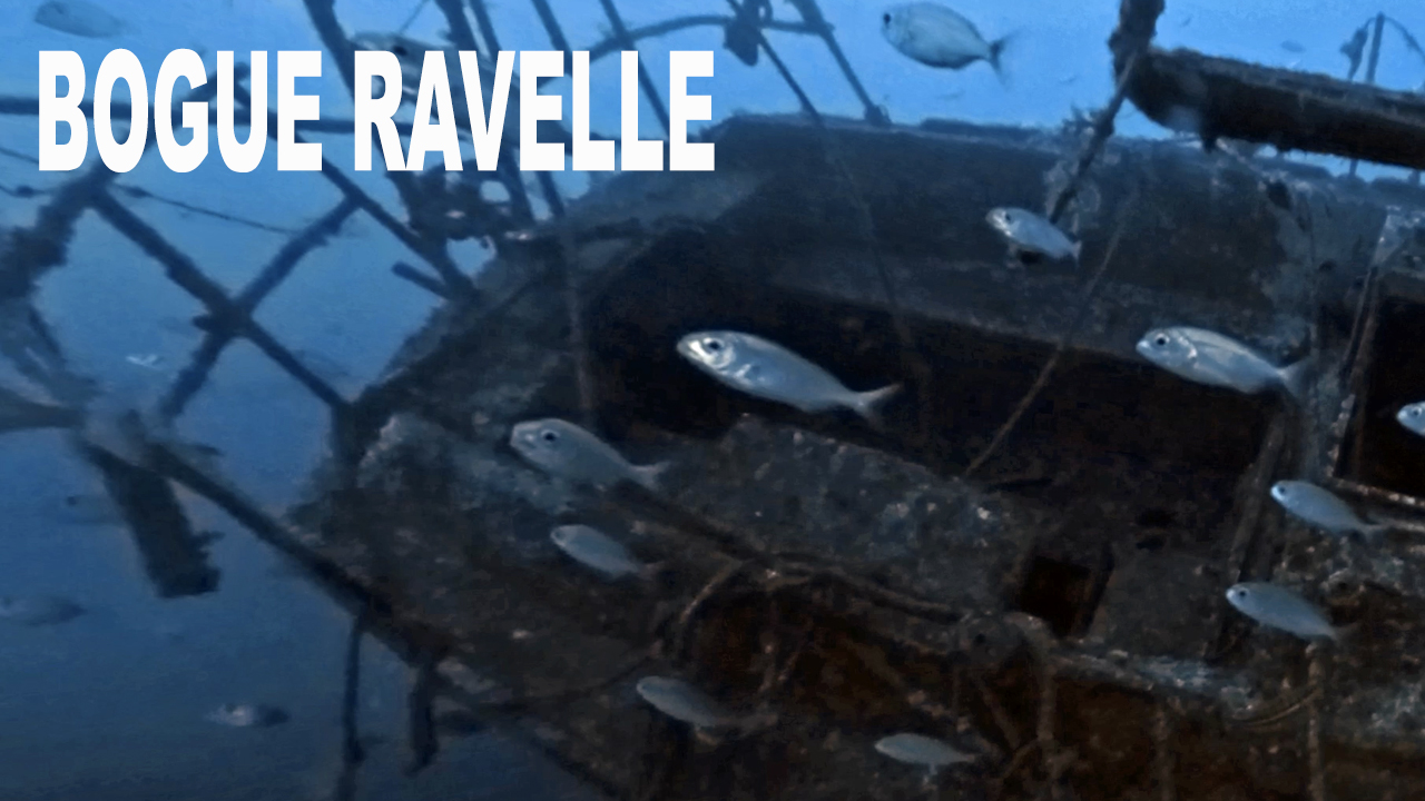 Bogue ravelle