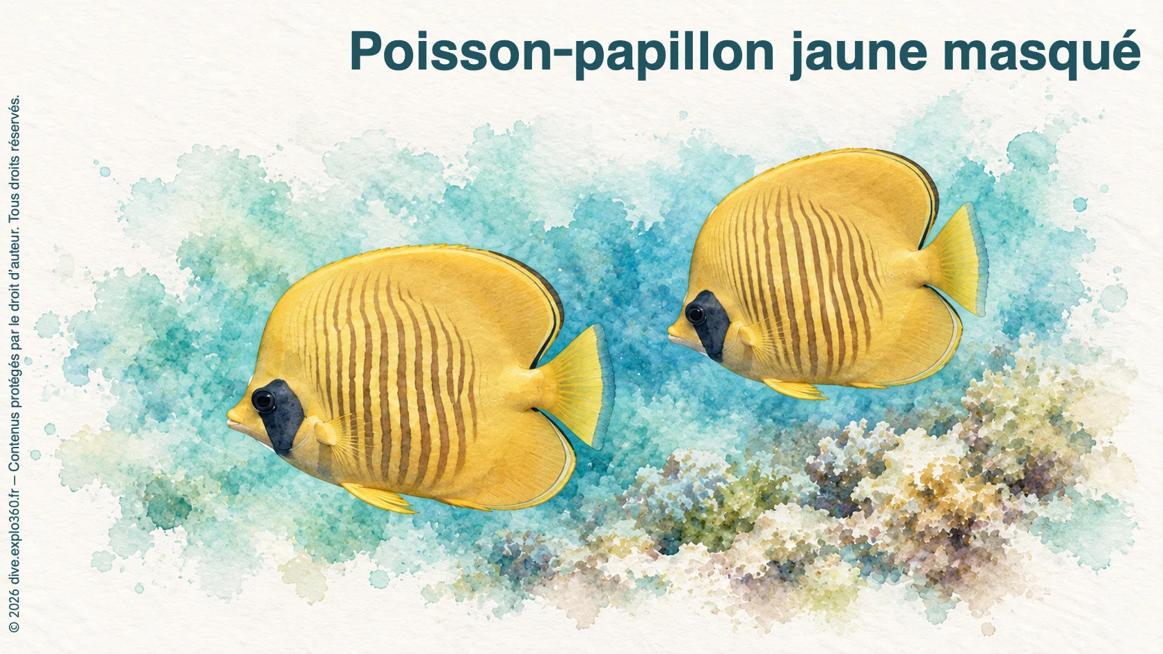 Poisson-papillon jaune masqué