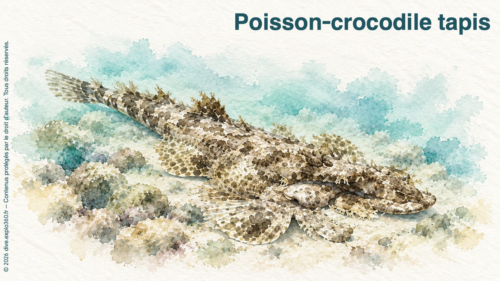 Poisson-crocodile tapis