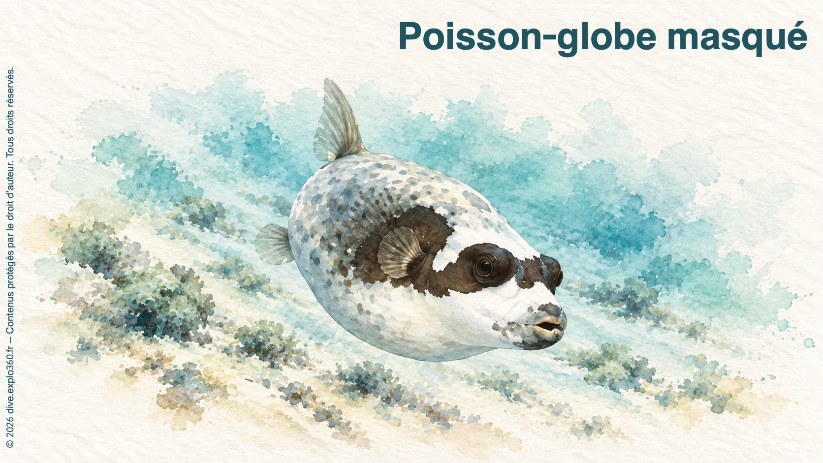 Poisson-globe masqué