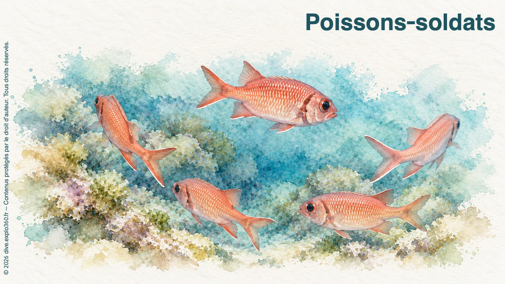 Poissons-soldats