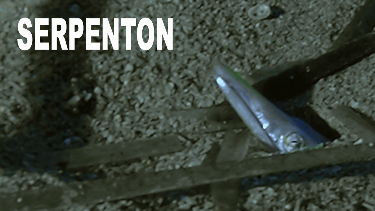 Serpenton