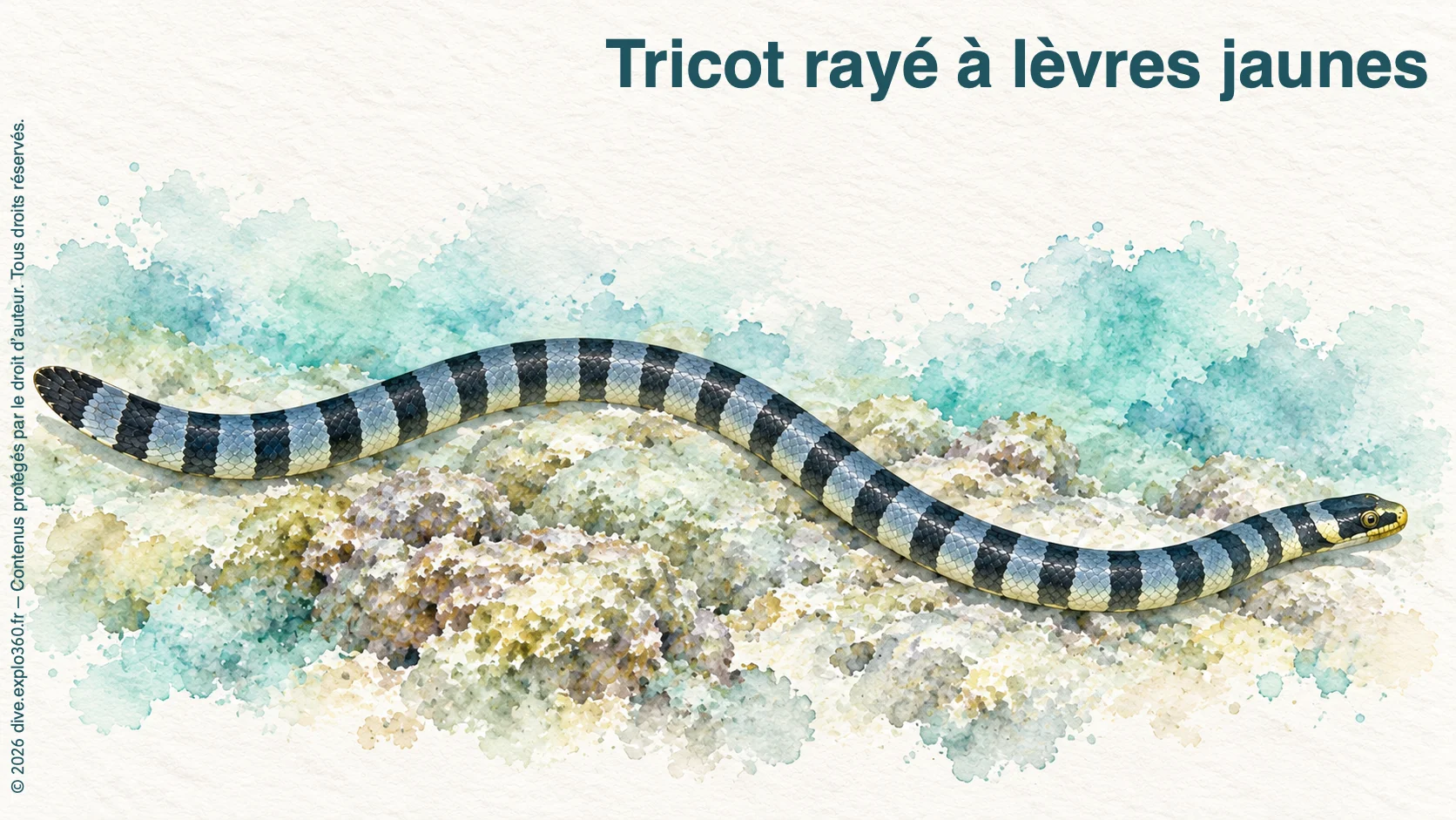 Tricot rayé à lèvres jaunes