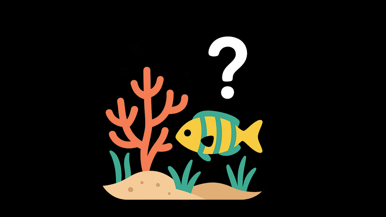 Quiz intermédiaire