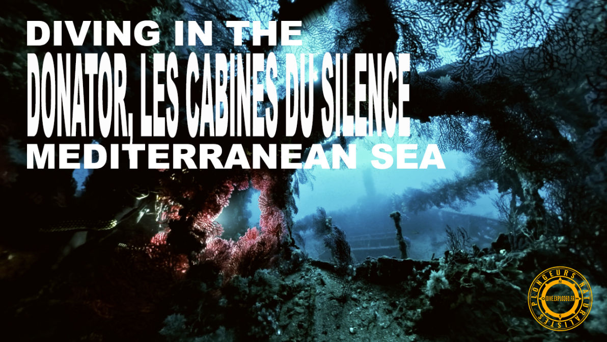 Vidéo 4k : Les cabines du silence