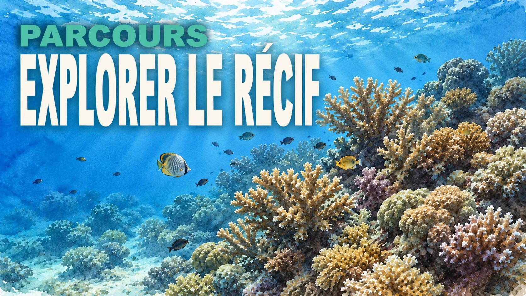 Explorer le récif