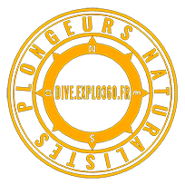 Dive.Explo360