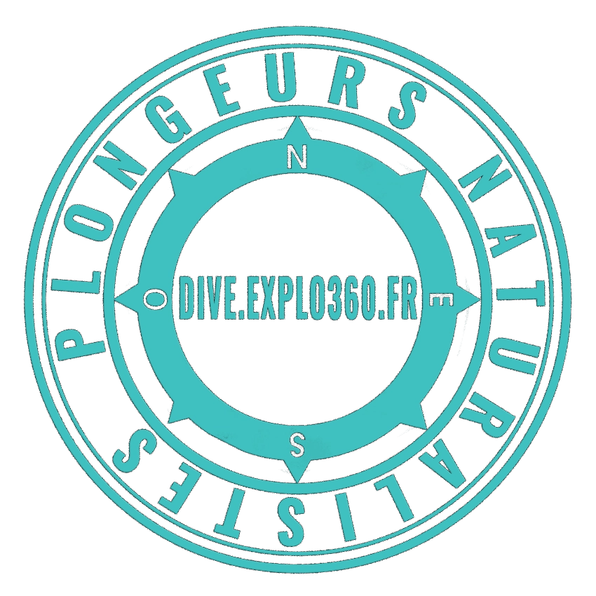 Dive.Explo360.fr